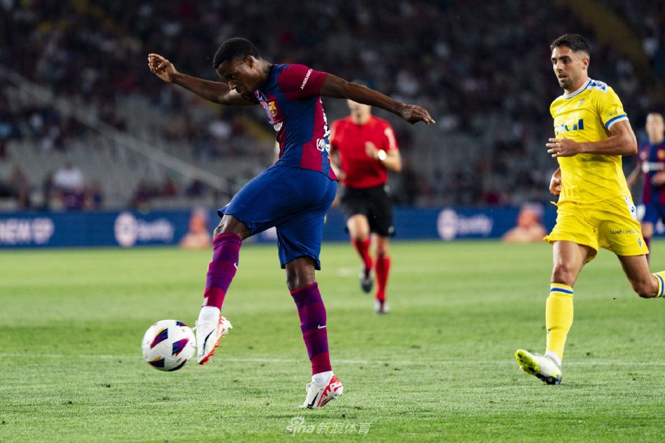 奉献了一场 奉献了一场